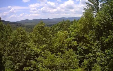Additional View