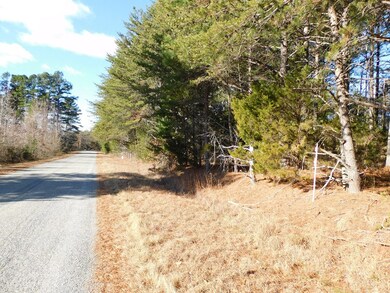 Street view +/- 200 feet of road frontage on Carr