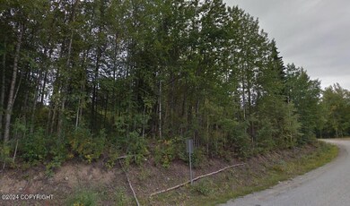 Side of Lot - Welch Road
