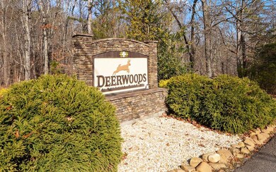 0 Twin Fawns Trail unit 7686572, Dahlonega, GA 30533 - photo 2