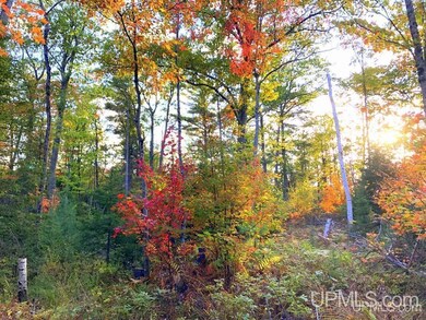 TBD N Cataract Dr, Forsyth Township, MI 49841 - photo 6