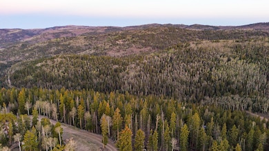 dji_fly_20250529_061315_0_1748520795156_