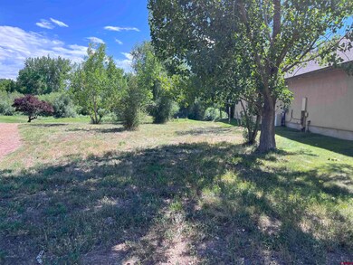 646 Horse Thief Ln, Durango, CO 81301 - photo 2