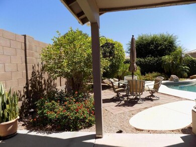 Backyard Oasis
