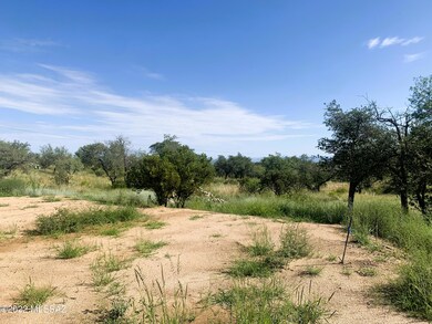 TBD N Viento Dr unit 1.03 Ac, Oracle, AZ 85623 - photo 6