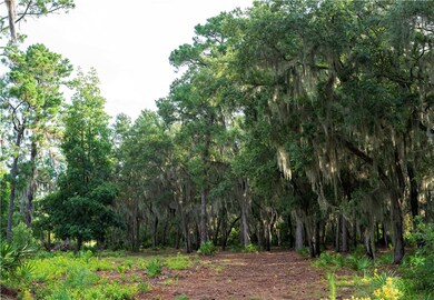 46 Southerland Ln, St. Simons Island, GA 31522 - photo 4