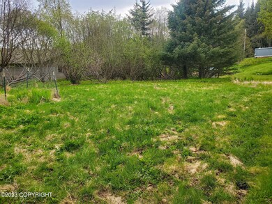 Back Lawn