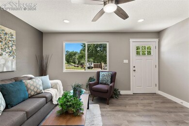 4440 Carolyn Dr, Colorado Springs, CO 80916 - photo 5