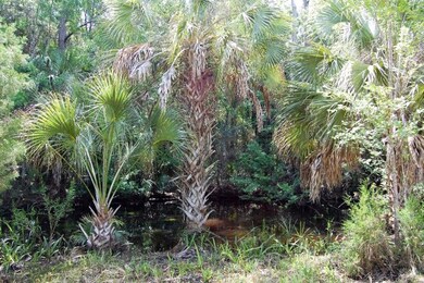 2 5th St E, Steinhatchee, FL 32359 - photo 3