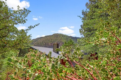 6737 W Kachina Cir, Pine, AZ 85544 - photo 4