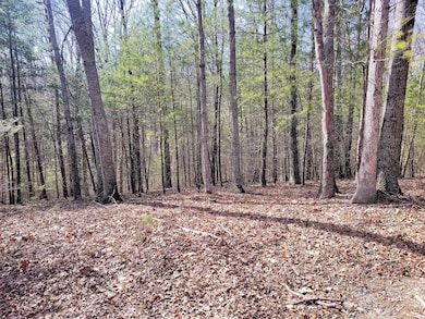 Lot 9