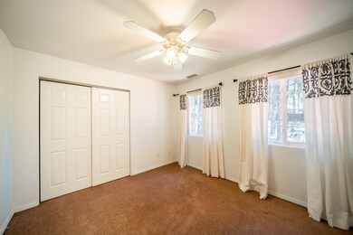 Photo-5