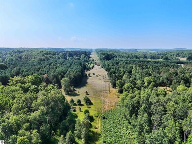 00 W Arnold Rd, Manton, MI 49663 - photo 4