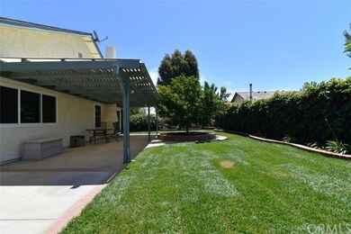 Backyard - Walled privacy - delicious Nectarine tr