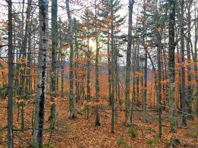 666/100 Rollins Rd, Newbury, NH 03255 - photo 2