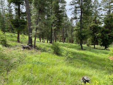 235 Highland Meadow Rd, Kila, MT 59920 - photo 7