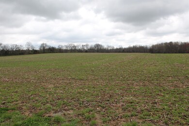 Property runs along Cable Rd with 1.000+ ft of road frontage.  