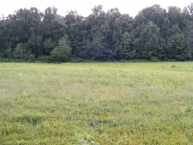 0 Fredonia Rd unit RTC1853630, Manchester, TN 37355 - photo 7