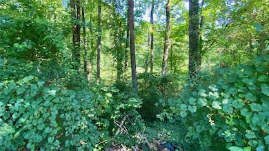 Wooded lot