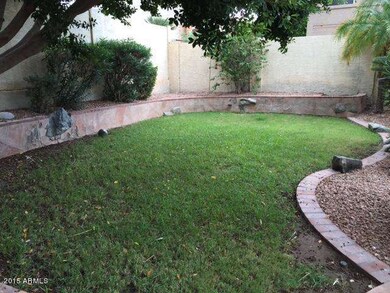 Hiddenview Backyard