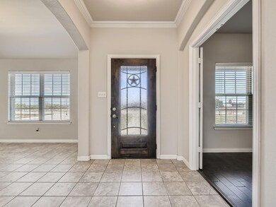 254 Springwood Ranch Loop, Springtown, TX 76082 - photo 4