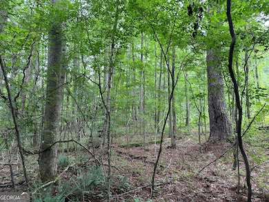 0 Waterview Dr unit 10554814, Lagrange, GA 30240 - photo 7