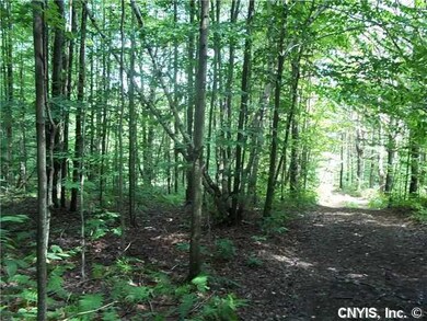 Land. Road way through the property.