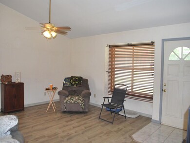 3012 Umbrella Tree Dr, Edgewater, FL 32141 - photo 2