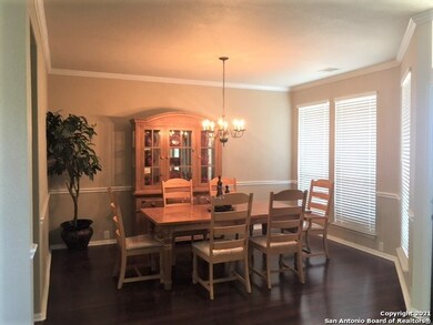 10507 Rainbow View, Helotes, TX 78023 - photo 5