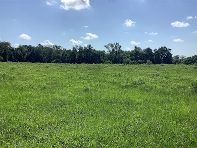 0000 Old Plain Dealing Rd, Benton, LA 71006 - photo 4