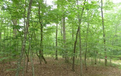 Additional View