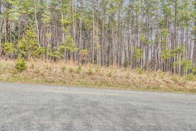 Lot 96 Cove Point Trail, Moneta, VA 24121 - photo 4