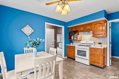 1811 S Buhr Mill Ct, Springfield, IL 62704 - photo 6