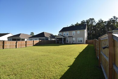 Backyard 2