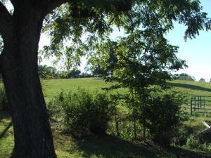 DSCF3958