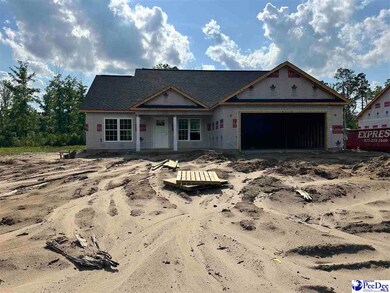 492 Cane Branch Rd, Loris, SC 29569 - photo 2