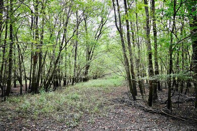 TBD W Fm 71, Talco, TX 75487 - photo 5