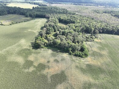 E853 Bestul Rd, Scandinavia, WI 54977 - photo 5