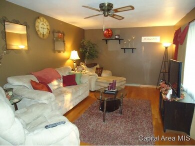 181 W Union St, Virginia, IL 62691 - photo 3