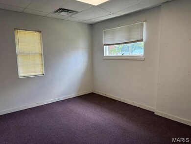 505 N Catalpa St, Dexter, MO 63841 - photo 4