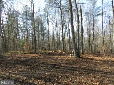 2 Hart Ct, Culpeper, VA 22701 - photo 6