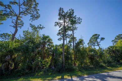 26177 Brooks Rd, Punta Gorda, FL 33955 - photo 6