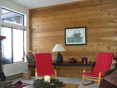Living Room. Cedar walls add color to the room