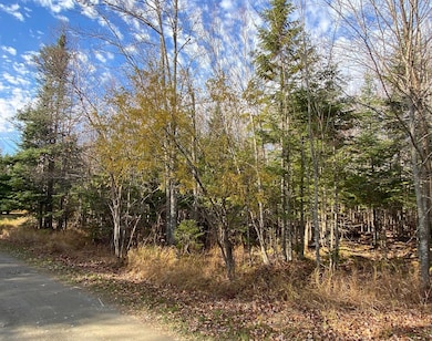 Lot 16 Bear Track Ln, Tomhegan Township, ME 04478 - photo 2