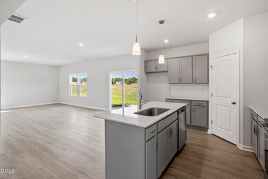 24 Osgood St unit Lot 14, Angier, NC 27501 - photo 6