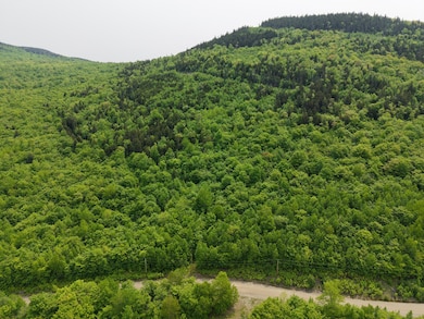 DJI_20250604110002_0017_D