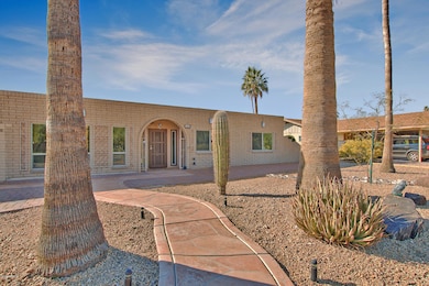 Desert landscape front