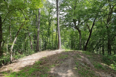 TBD Eason Rd, Columbia, LA 71418 - photo 4