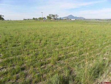 0 Road 23 unit 733628, Cortez, CO 81321 - photo 4