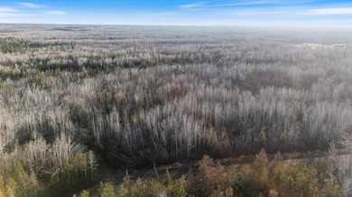 TBD County Road 103, Mahtowa, MN 55707 - photo 7